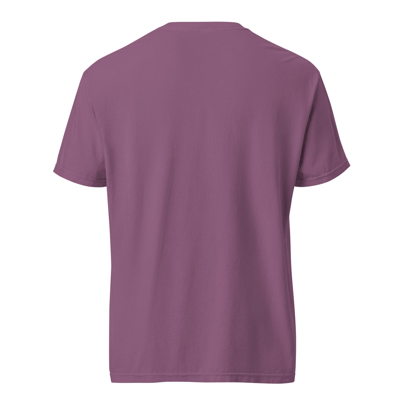 Pre-K Comfort Colors T