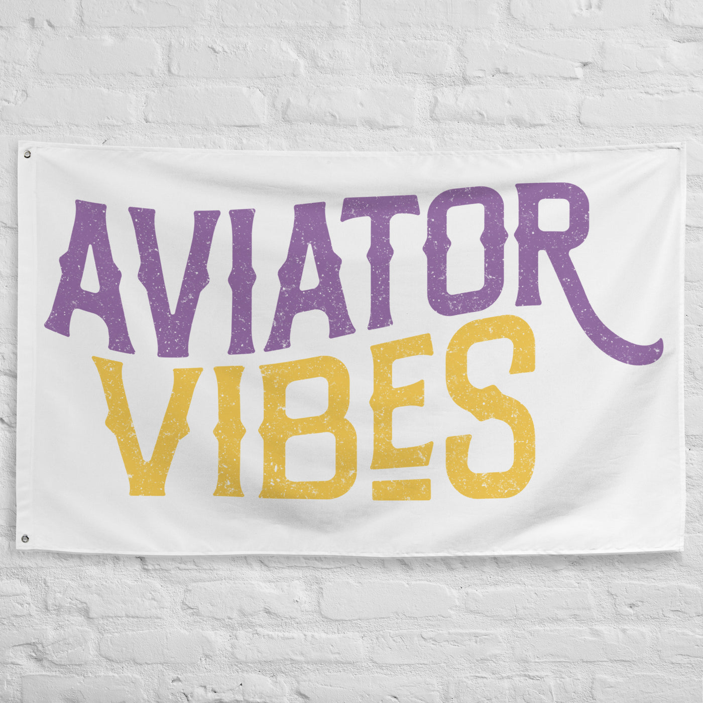 Aviator Vibes Flag