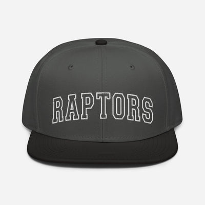 Raptors Snapback Hat