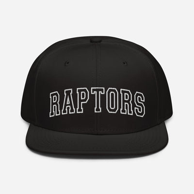 Raptors Snapback Hat