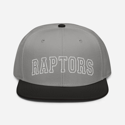 Raptors Snapback Hat