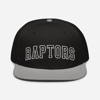 Raptors Snapback Hat