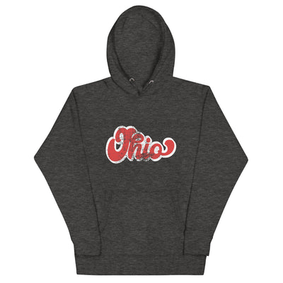 Cozy Ohio Hoodie